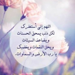 Servant of The merciful