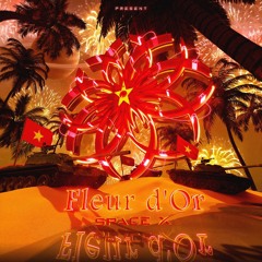 VIET TIEP CAU CHUYEN HOA BINH x FLEUR D'OR TEAM REMIX 2025