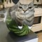 watermelon kat