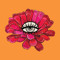 Zinnia