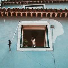 Tần số thật