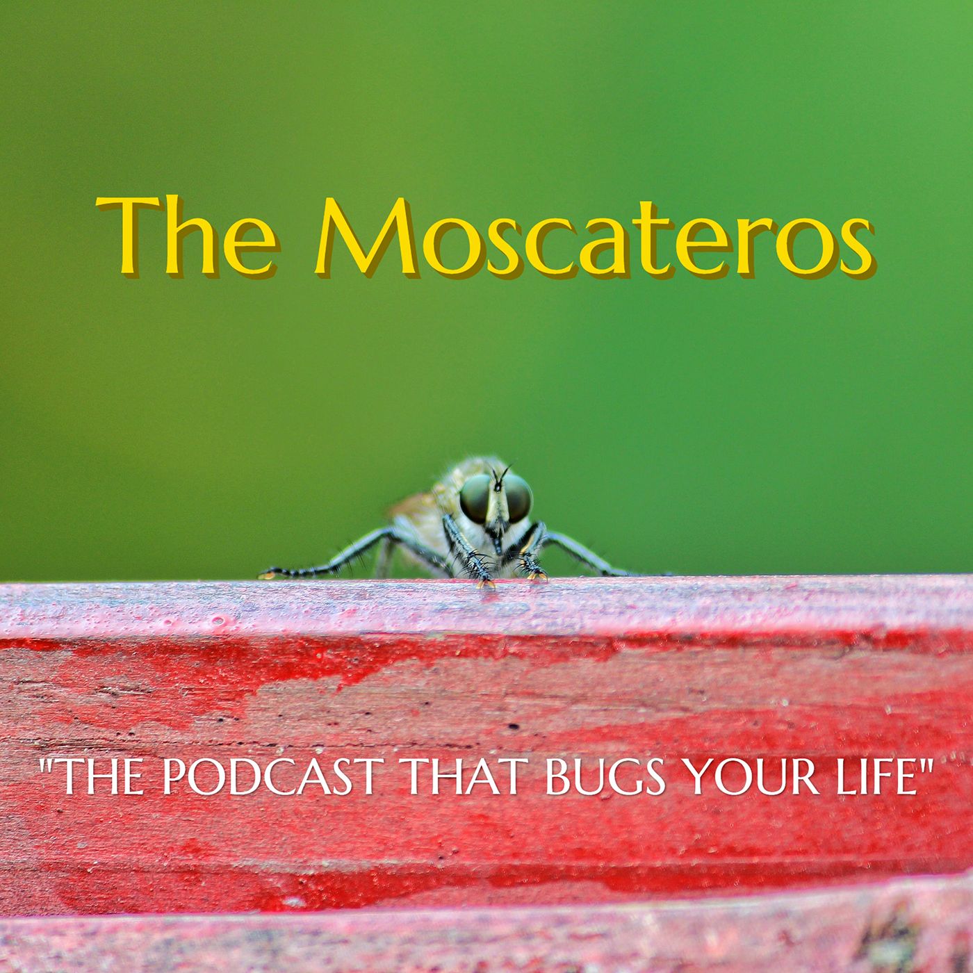 The Moscateros