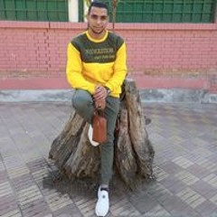 Islam Haridi