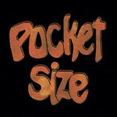 Pocket size