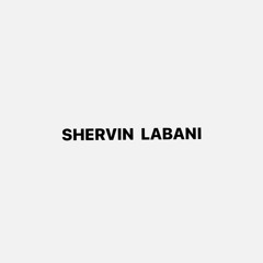 Shervin Labani