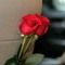 Azza Soliman