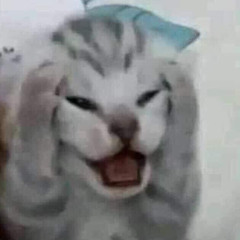I’m NChou