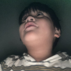 Renipa David