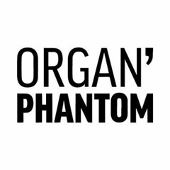 Organ'Phantom