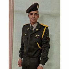 Sayed M. Dorgham