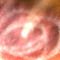 3VVN