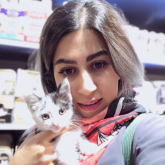 Yeganeh Sanati