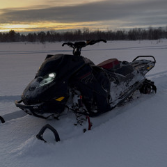 NilsSvart123