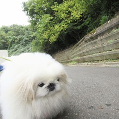 Gzhjsb6191£/&GhjssoOANAKo162opqhzyxifnrv