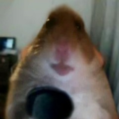 :*