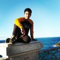 حمو الروش