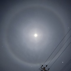 nojo