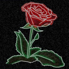 ♚onenonly✭