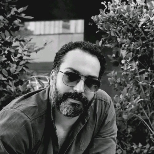 Silence Between Us 502