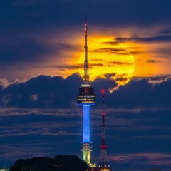 눈꽃폭설
