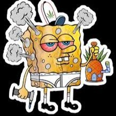 highBOB
