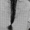 شياهيّن .