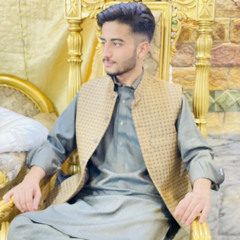 شام راجہ