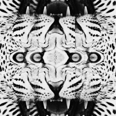 Kroka Koka (Spotify)