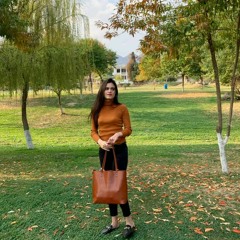 Syeda Mahnoor Qureshi.