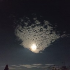 Angel Dust