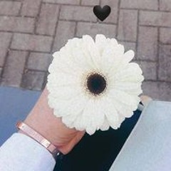 Marcela Herrera Salazar