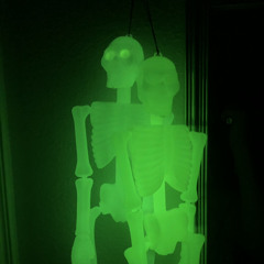 2gaySkeletonz