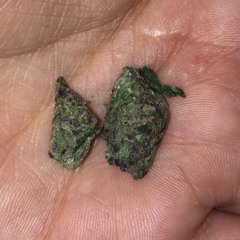 weedboii