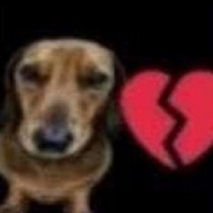 ม๋าเหลิง