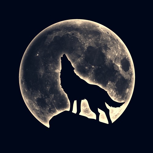 13 Moontribe Recordings’s avatar