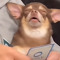 xxxdavexxx