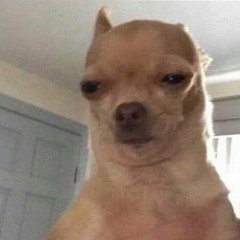 Tuấn Linh Nguyễn