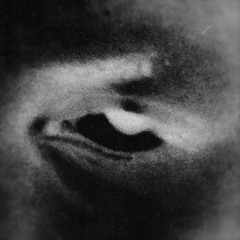 the fall. (prod. kubsy)