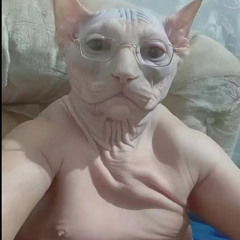 BΣЯGΛN