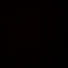 User12749371848