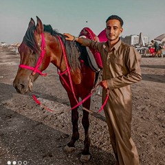 ahmed Nafae