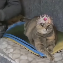 b!nk