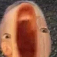 Geep2