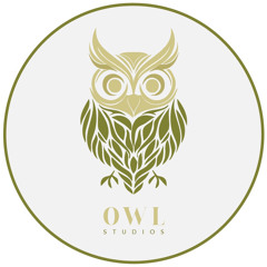 O.W.L STUDIOS