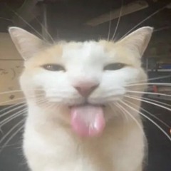lickonmydreads