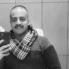 mahmoud ellewaa