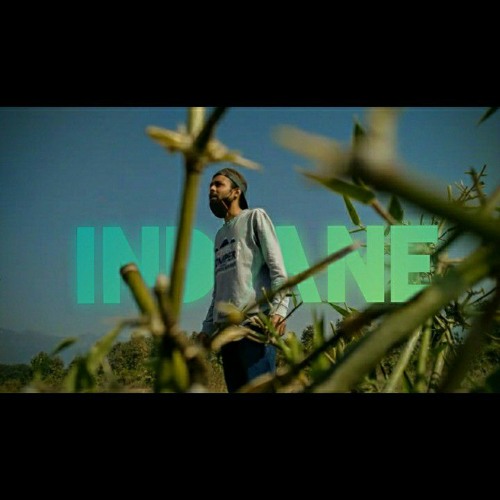 Indiane - Shout out for the life