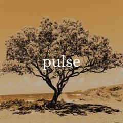 Full Throttle - Reality (PULSE REMIX)