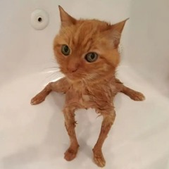 имя