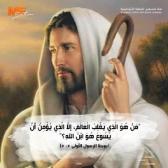 Mary Nabil